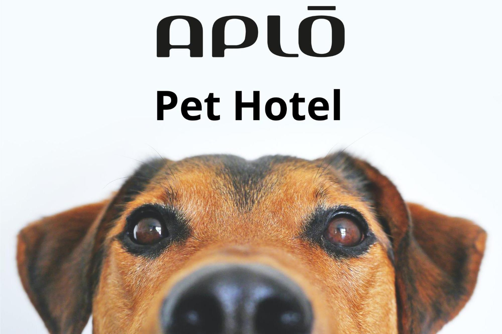 Hotel Aplo - Breakfast Experience Cervia Zewnętrze zdjęcie